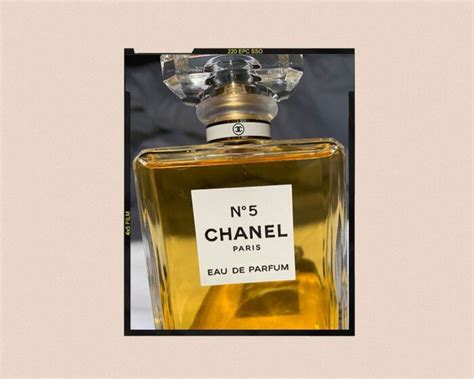 perfume chanel 6|what does chanel no 5 smell like.